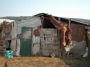 Φωτογραφία για Έκρυβε ολόκληρο οπλοστάσιο στη στάνη του!