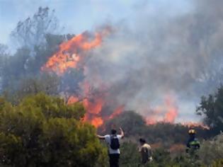 Φωτογραφία για ΠΡΙΝ ΛΙΓΟ: Πυρκαγιά στο Αργοστόλι Κεφαλονιάς