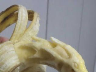 Φωτογραφία για ΔΕΙΤΕ: Πως μια μπανάνα μπορεί να γίνει ένα απίστευτο... έργο τέχνης