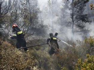 Φωτογραφία για Υπό μερικό έλεγχο η φωτιά στο Σοφικό