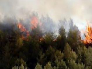 Φωτογραφία για Τέσσερις άνθρωποι έχασαν τη ζωή τους από πυρκαγιά στην ΠΓΔΜ