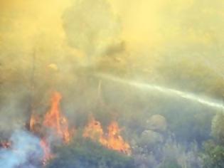 Φωτογραφία για Υπό έλεγχο οι φωτιές στα Κανάρια Νησιά