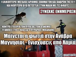 Φωτογραφία για Μαίνεται η φωτιά στην Ανάβρα Μαγνησίας - Ενισχύσεις από Λαμία