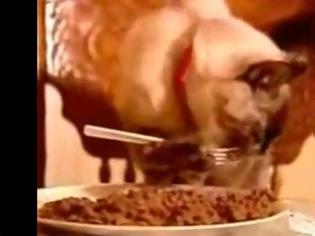 Φωτογραφία για AΠΙΣΤΕΥΤΟ VIDEO: Γάτα τρώει με πιρούνι και chopsticks