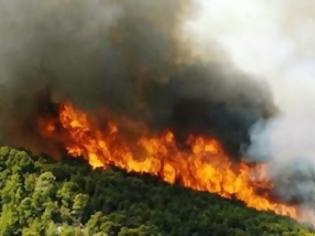 Φωτογραφία για ΝΕΟ ΠΥΡΙΝΟ ΜΕΤΩΠΟ ΣΤΗΝ ΚΡΗΤΗ...