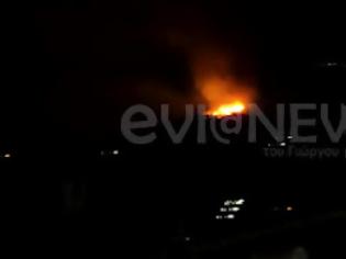 Φωτογραφία για Εύβοια: Μεγάλη φωτιά ξέσπασε πριν από λίγο στο Αυλωνάρι