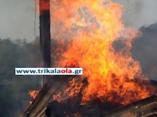 Φωτογραφία για Ποιμνιοστάσιο με 20 αρνιά και 500 στρέμματα έγιναν κάρβουνο σήμερα στα Τρίκαλα