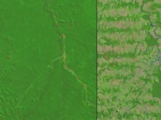 Φωτογραφία για Το δάσος του Αμαζονίου εξαφανίζεται