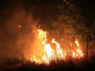 Φωτογραφία για Και ο στρατός στη μάχη με τη φωτιά στην Αρκαδία!