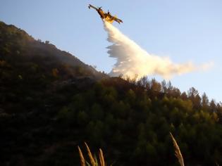 Φωτογραφία για Και ο στρατός στην μάχη με την φωτιά στην Αρκαδία!