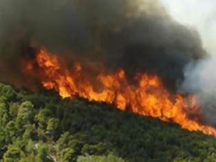 Φωτογραφία για Πυρκαγιά στο Άγιο Όρος