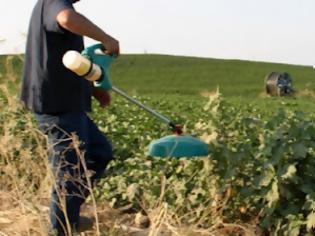 Φωτογραφία για Ευθύνες στην κυβέρνηση για τη χρήση παράνομων φυτοφαρμάκων, επιρρίπτει ο ΣΥΡΙΖΑ