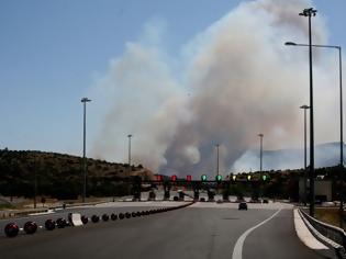 Φωτογραφία για Ανεξέλεγκτη η φωτιά στην Αρκαδία - Έκλεισε η εθνική οδός σε μήκος 20 χιλομέτρων!