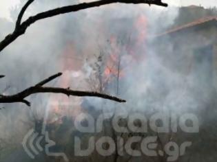 Φωτογραφία για Σε εξέλιξη η πυρκαγιά στην περιοχή της Μεγαλόπολης [Video]