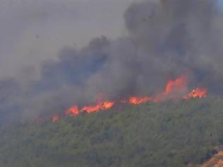 Φωτογραφία για Πυρκαγιά στη Παλλήνη