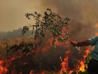 Φωτογραφία για ΠΥΡΚΑΓΙΑ ΠΡΙΝ ΛΙΓΟ ΚΑΙ ΣΤΗΝ ΠΑΛΛΗΝΗ...