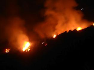 Φωτογραφία για Πάτρα: Υπό έλεγχο η φωτιά στα Συχαινά μετά από ολονύχτια μάχη με τις φλόγες