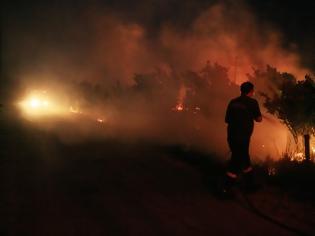 Φωτογραφία για Ολονύχτια μάχη με τις φλόγες στην Αρκαδία - Από ένα τσιγάρο ξεκίνησε ο πύρινος εφιάλτης