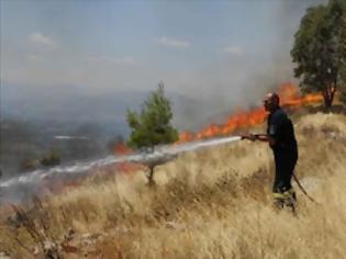 Φωτογραφία για Σύλληψη 45χρονου για την πυρκαγιά στην Αρκαδία