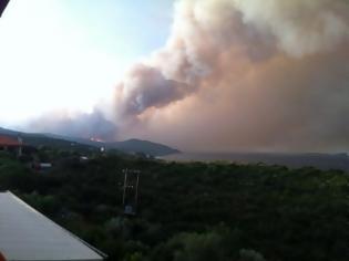 Φωτογραφία για Διατάχθηκε η προληπτική εκκένωση της Ουρανούπολης – Απειλούνται σπίτια, εγκατέλειψαν την πόλη οι τουρίστες – Μάχη με τις φλόγες και στην Αρκαδία