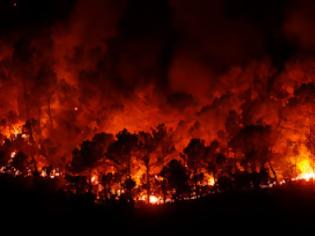 Φωτογραφία για 310 φωτιές τέθηκαν υπό έλεγχο το τελευταίο 24ωρο στη Βουλγαρία