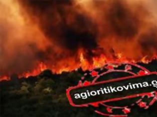 Φωτογραφία για Εμπρηστική ενέργεια η φωτιά στο Άγιο Όρος