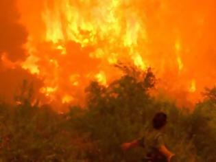 Φωτογραφία για Σε εξέλιξη πυρκαγιά στον Κάλαμο