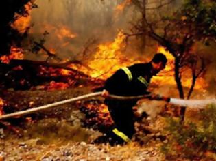 Φωτογραφία για Σε ύφεση η πυρκαγιά στη Χαλκιδική