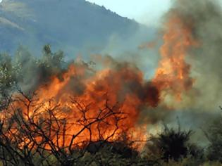 Φωτογραφία για Καίγεται και η Βοσνία - Ερζεγοβίνη