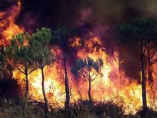 Φωτογραφία για Εκτός ελέγχου μεγάλη πυρκαγιά στη Λευκωσία