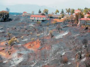 Φωτογραφία για Συνεχείς αναζωπυρώσεις στην Αρκαδία