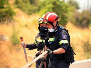 Φωτογραφία για ΑΠΟ ΤΗ ΔΕΥΤΕΡΑ ΞΕΚΙΝΑ Η ΚΑΤΑΓΡΑΦΗ ΤΩΝ ΖΗΜΙΩΝ ΣΤΗΝ ΑΡΚΑΔΙΑ