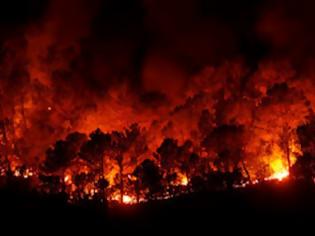 Φωτογραφία για 200 πυρκαγιές εκδηλώνονται σε καθημερινή βάση στη Βουλγαρία