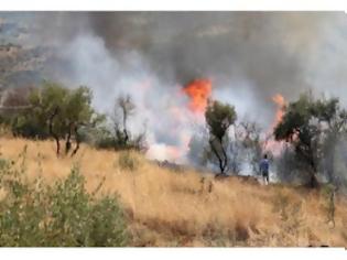 Φωτογραφία για Ζευγάρι Βούλγαρων παραλίγο να... πυρπολήσει το πρωί το Ξυλόκαστρο