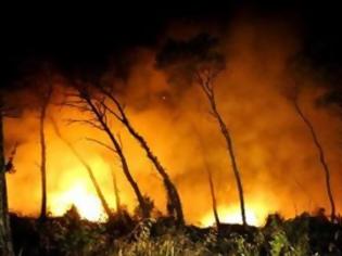 Φωτογραφία για Μαίνεται η φωτιά στο Άγιο Όρος