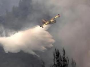 Φωτογραφία για Σε εξέλιξη οι επιχειρήσεις για την κατάσβεση της φωτιάς στο Άγιο Όρος