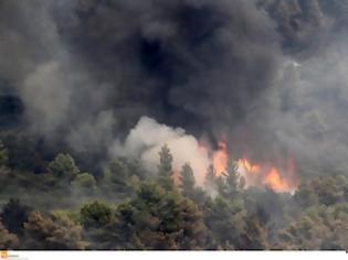 Φωτογραφία για Γιγαντιαία η κινητοποίηση των Αρχών στο Άγιο Όρος