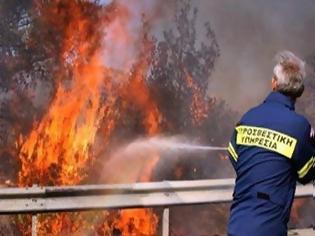 Φωτογραφία για Υπό μερικό έλεγχο η φωτιά στην Παντανάσα Ρόδου