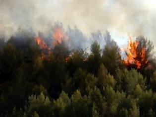 Φωτογραφία για ΦΟΒΟΥΝΤΑΙ ΤΗ ΝΥΧΤΑ ΣΤΟ ΑΓΙΟ ΟΡΟΣ...