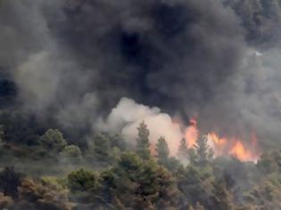 Φωτογραφία για Σε ύφεση η πυρκαγιά στο Άγιο Όρος