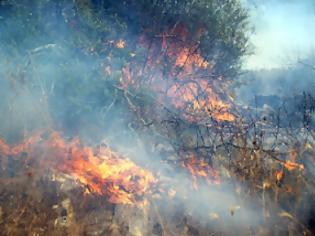 Φωτογραφία για Εκκενώθηκε χωριό στη Κύπρο εξαιτίας μεγάλης πυρκαγιάς