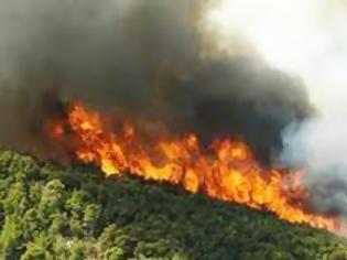 Φωτογραφία για Πυρκαγιά στη Ρόδο