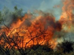Φωτογραφία για Υπό μερικό έλεγχο τέθηκε η πυρκαγιά στη Λεμεσό