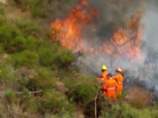 Φωτογραφία για Στα κρατητήρια ο 57χρονος που καψάλιζε χόρτα από τα οποία άρχισε η πυρκαγιά στην Ορεινή Λάρνακα