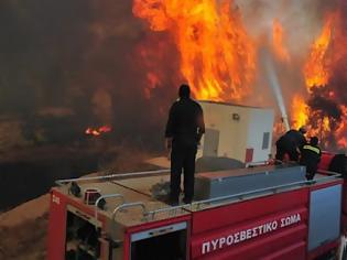 Φωτογραφία για Η ώρα του απολογισμού της πυρκαγιάς στην Αρκαδία