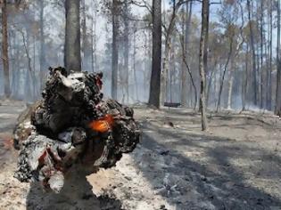 Φωτογραφία για O τραγικός απολογισμός των καμένων στην Αρκαδία