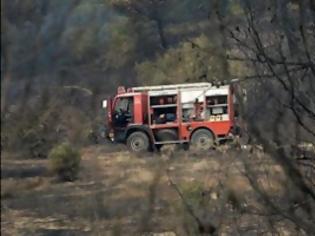 Φωτογραφία για Σε τουλάχιστον 20 μέρες οι αποζημιώσεις στη Χαλκιδική