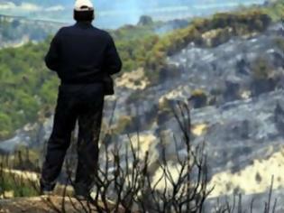 Φωτογραφία για Τέλη Αυγούστου οι αποζημιώσεις στους πυρόπληκτους της Χαλκιδικής