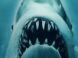 Φωτογραφία για Jaws: Διαθέσιμο σε Βlu-Ray [video]