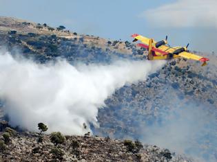 Φωτογραφία για Πυρκαγιά στον Ριζόμυλο Μεσσηνίας